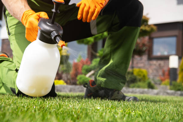 Best Seasonal Pest Control  in Ridgecrest, CA